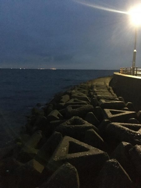 足元でハマチがヒット